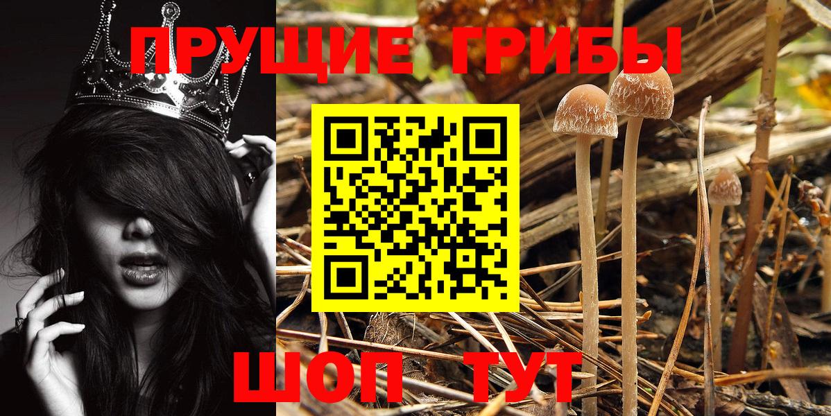 Псилоцибиновые грибы Psilocybe  Псилоцибиновые грибы MAGIC MUSHROOMS  Вход с VPN  Узловая 