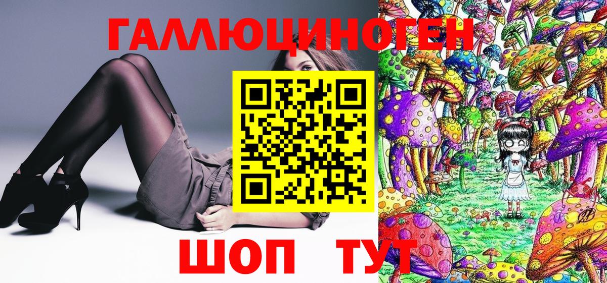 Галлюциногенные грибы Psilocybe Узловая